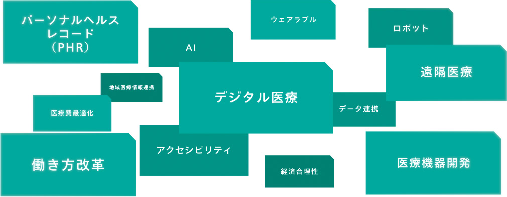 活動領域